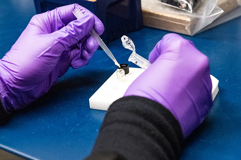LPS Qubit Collaboratory (LQC) — Grants.gov / Andrew Day Grants/Agreements Officer