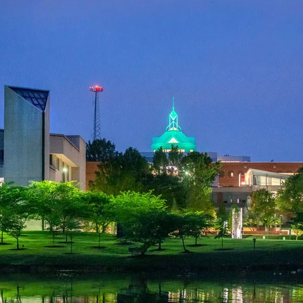 International Student Merit Award — George Mason University